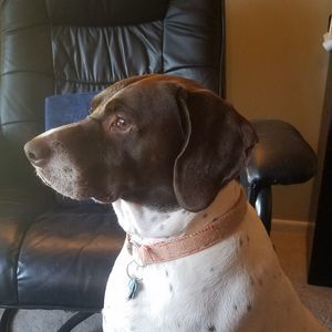 Meet your Posher, Erik